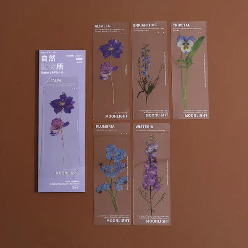 ensemble de cartes florales