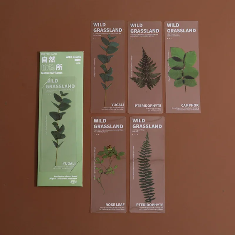 cartes botanique éducatives