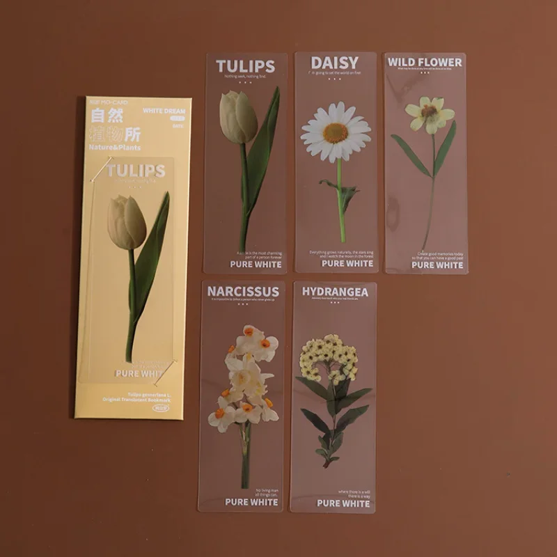 collection de cartes florales
